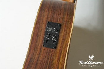 GS Mini-e Rosewood - Natural